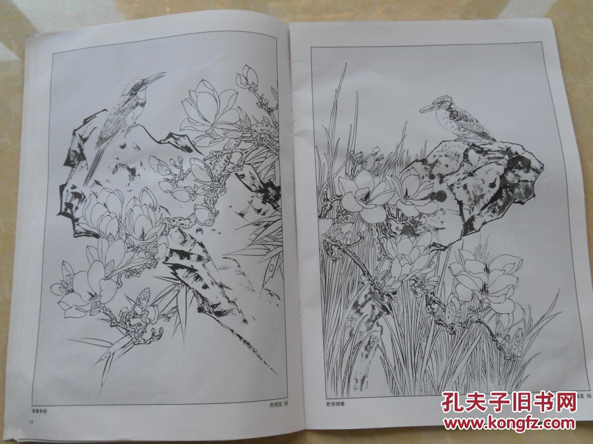 DB真人旗舰官网