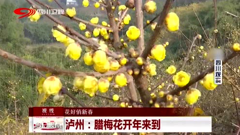 DB真人旗舰·(中国)集团