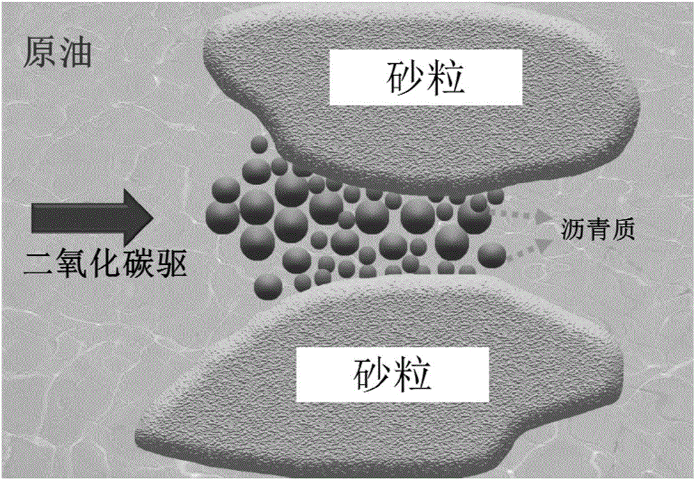 DB真人旗舰官网