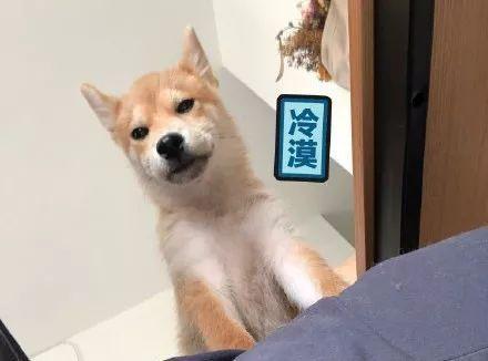 DB真人旗舰·(中国集团)