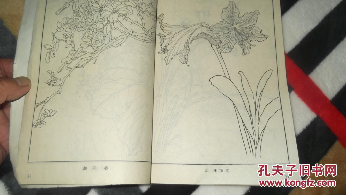 DB真人旗舰·(中国)集团
