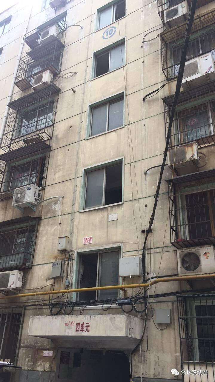 DB真人旗舰官网