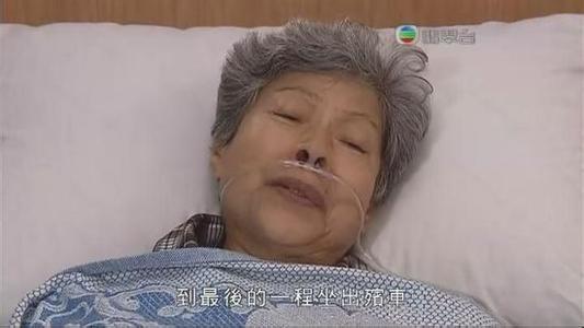 DB真人旗舰官网