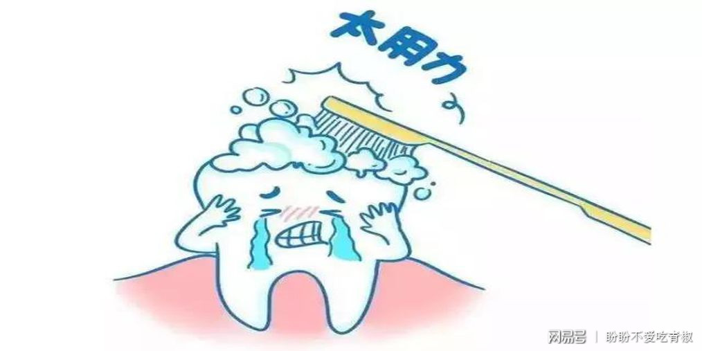 DB真人旗舰·(中国)集团