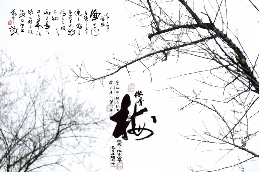 DB真人旗舰·(中国)集团